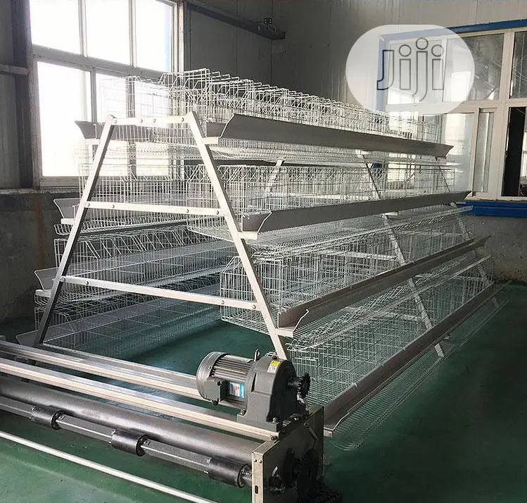 Automatic Poultry Cage China Factory Poultry Cage