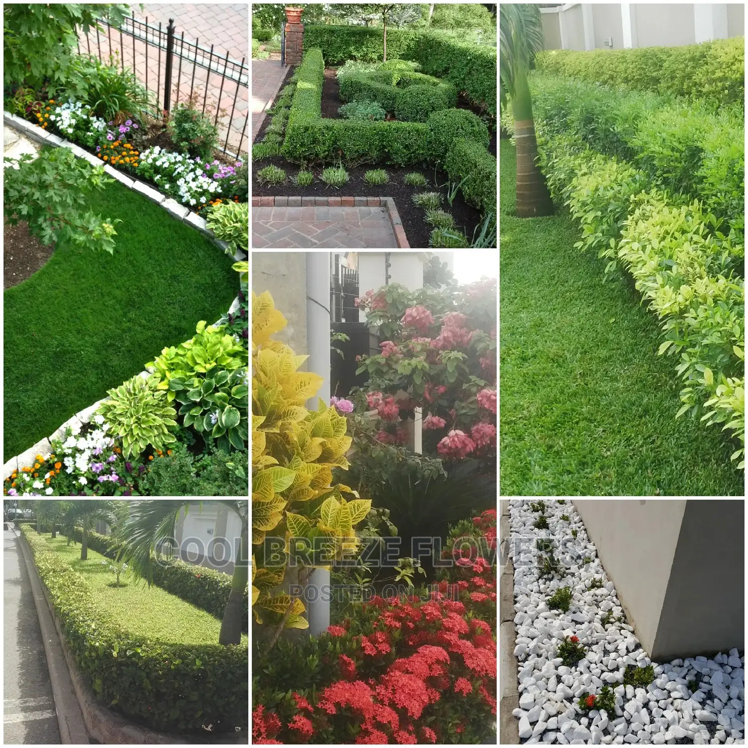 Durable Flower Pots Varieties