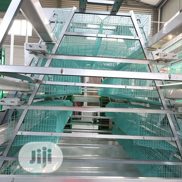 Poultry Cage / Automatic Poultry Cage / China Poultry Cage