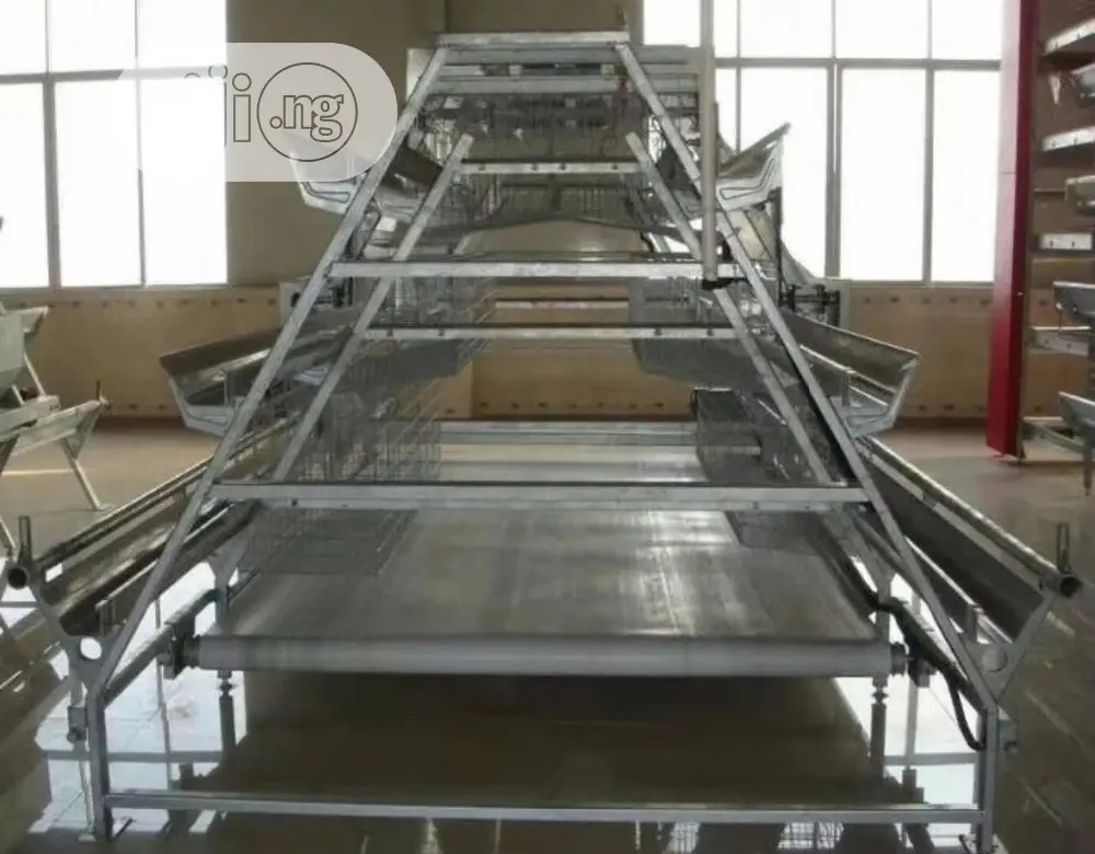 Poultry Cage / Automatic Poultry Cage / China Poultry Cage