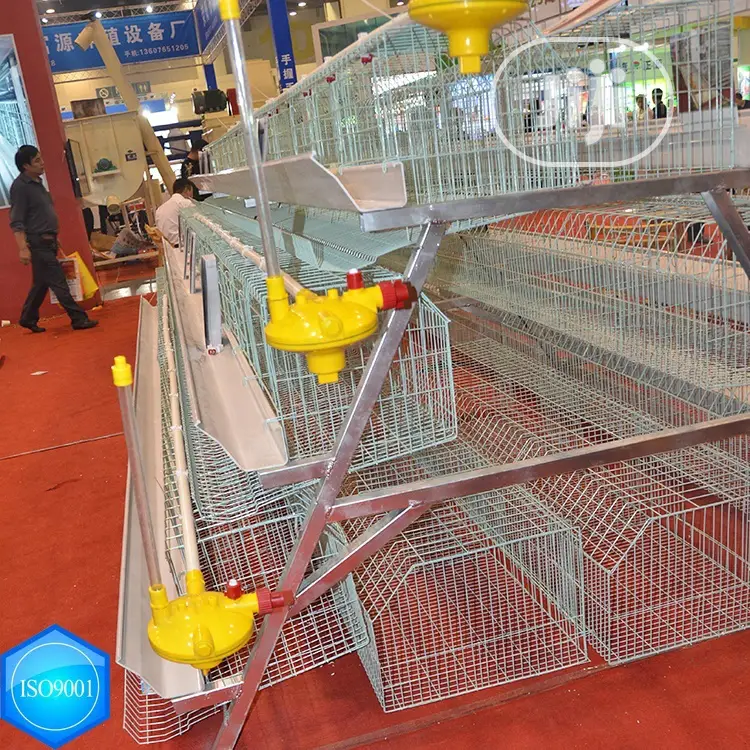 Poultry Cage / Automatic Poultry Cage / China Poultry Cage