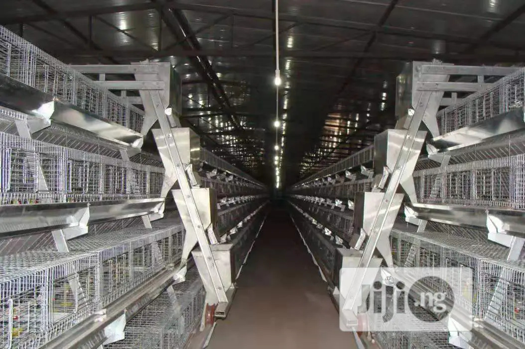 China Factory Poultry Cage / Best Quality Poultry Cages