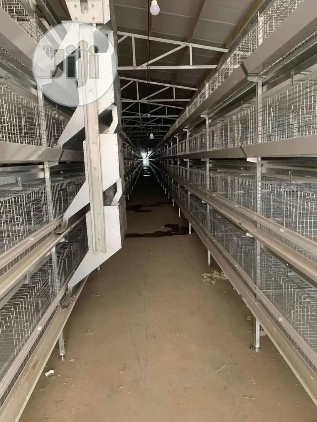 Poultry Cage / China Automatic Poultry Cage