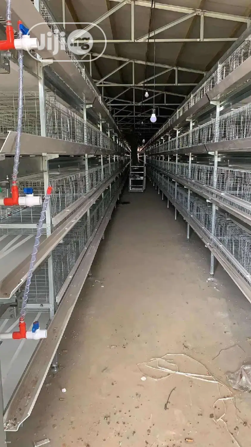 Poultry Cage / China Automatic Poultry Cage