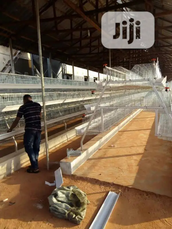 Poultry Cage / China Automatic Poultry Cage