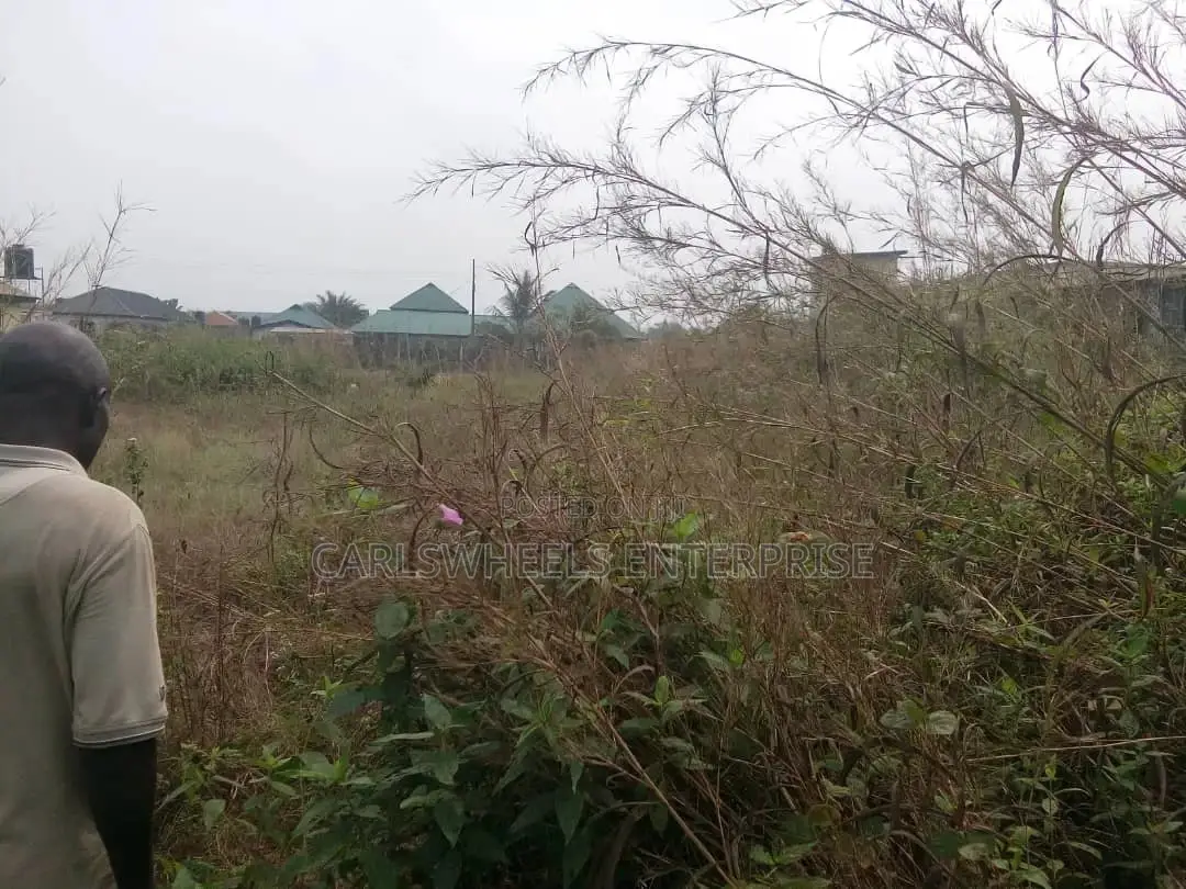 Full Plot Dry Land Facing Major Road at Alatishe Ibeju Lekki