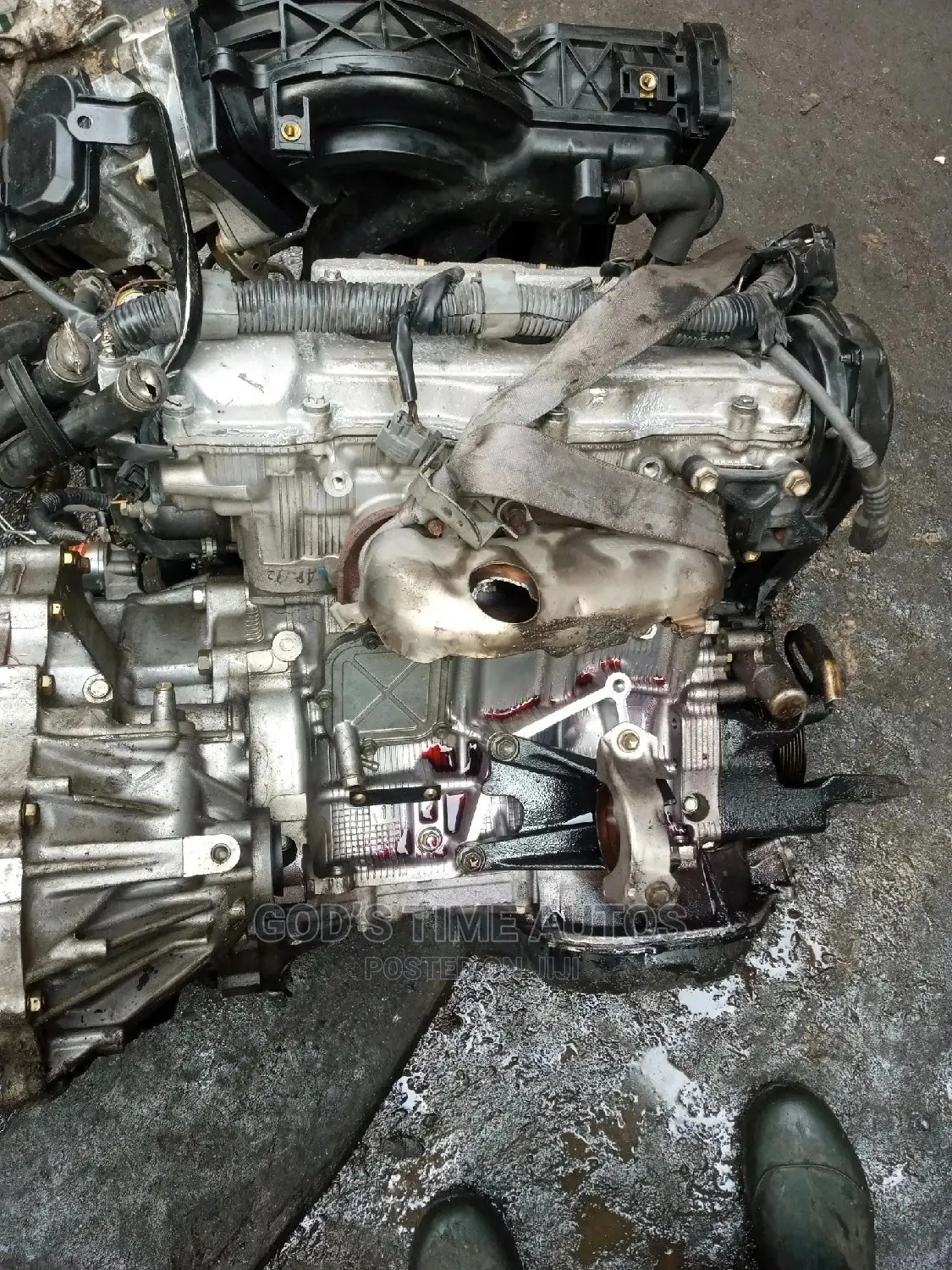 Lexus Es330 V6