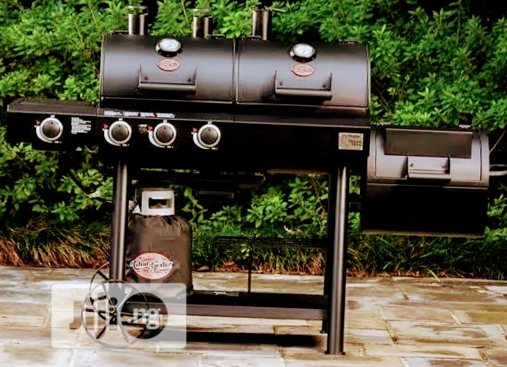 Industrial Gas and Charcoal Grill Machine