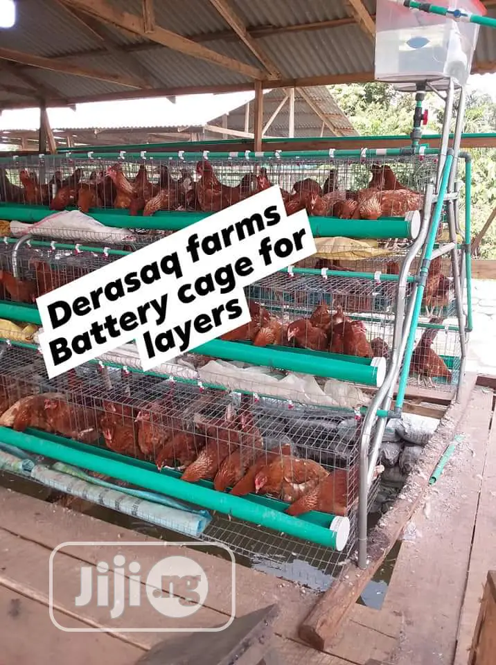 Hot Galvanized Battery Cage for Layers With Full Accessories