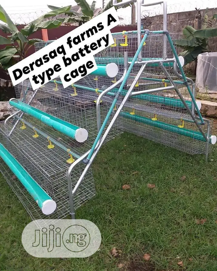 Hot Galvanized Battery Cage for Layers With Full Accessories