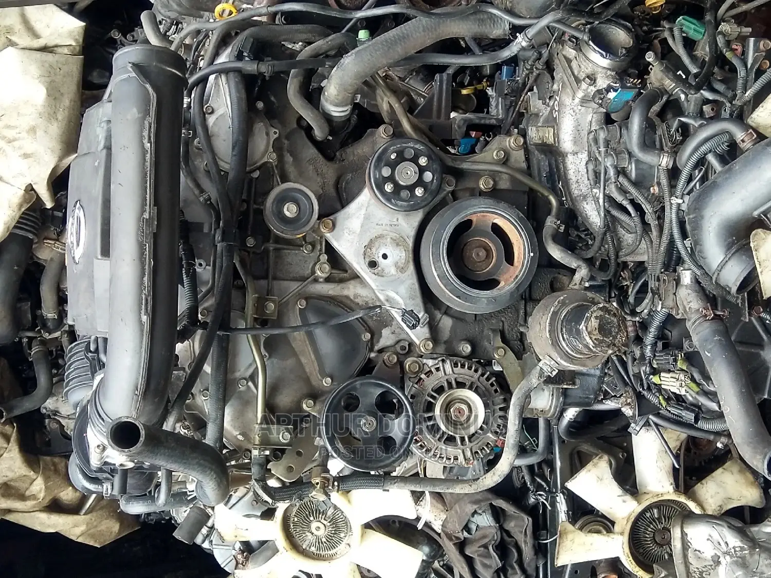 Nissan Pathfinder,Frontier,X-Terra, Navara, V6 4.0 2005