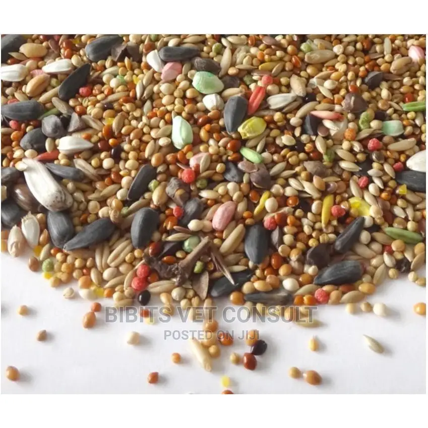 Love Bird Cockatiel Food 908g