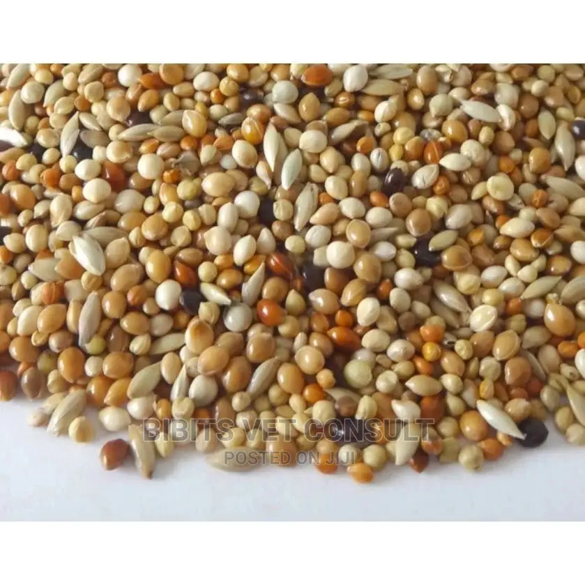 Budgerigar Finch Bird Food 908g