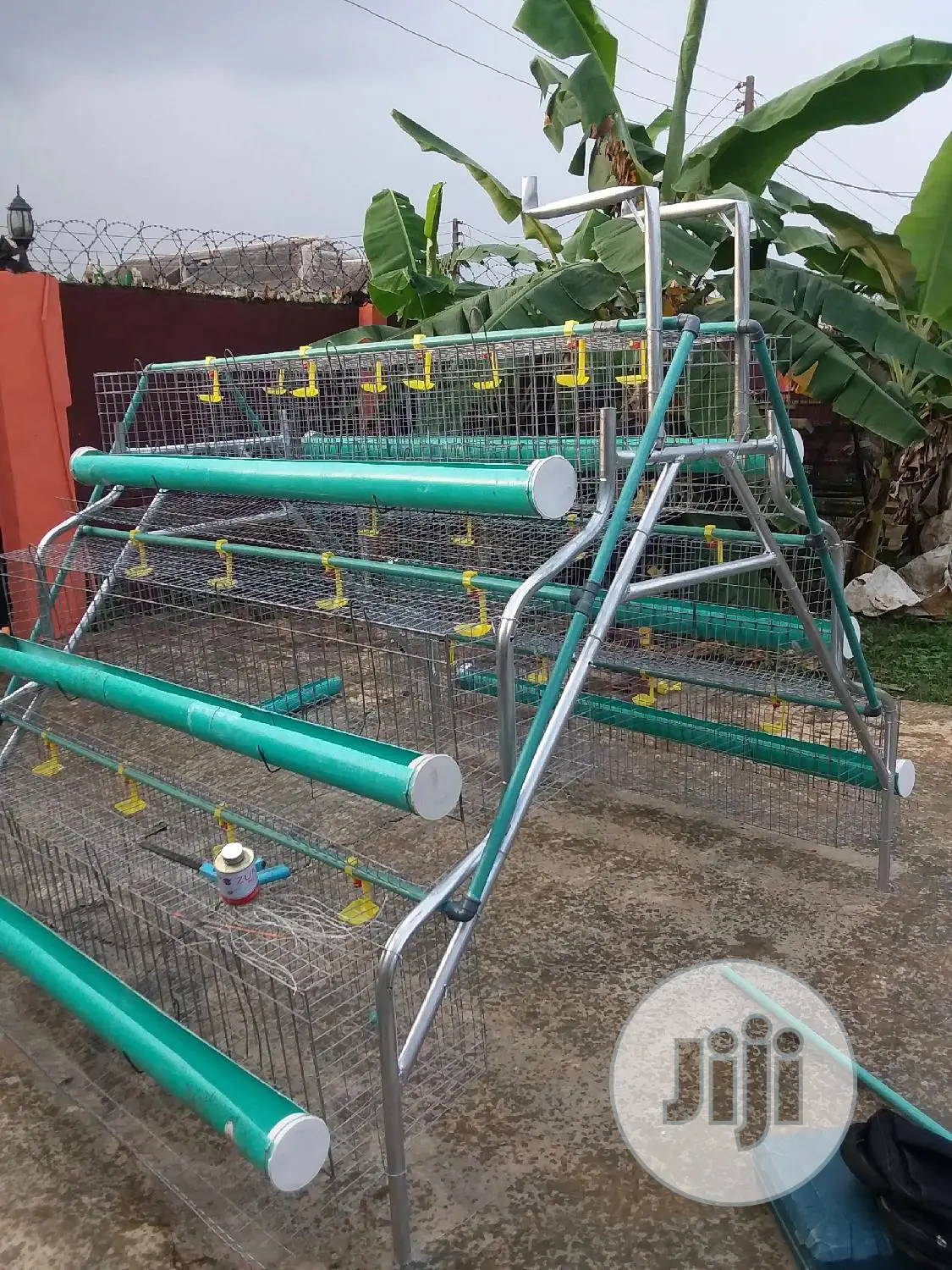 Battery Cage for Layers