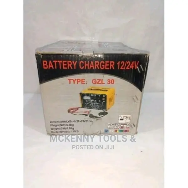 Car Battery Charger-30ams