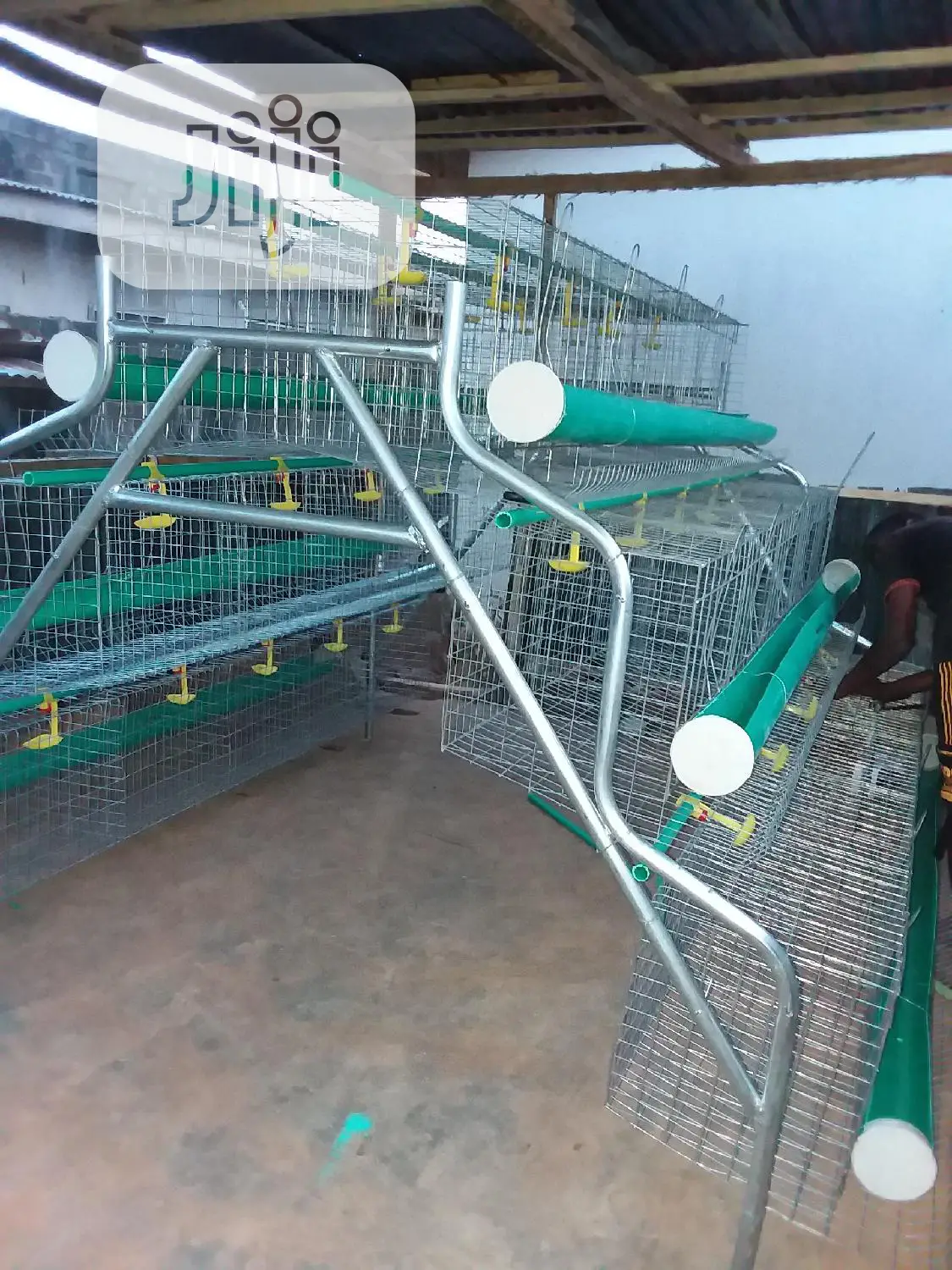 Hot Galvanized Cage