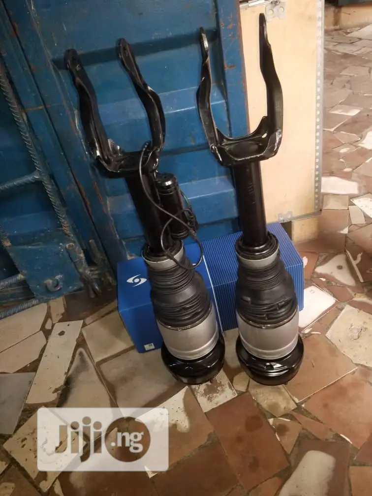 Ml350 Benz Shock Absorber 166