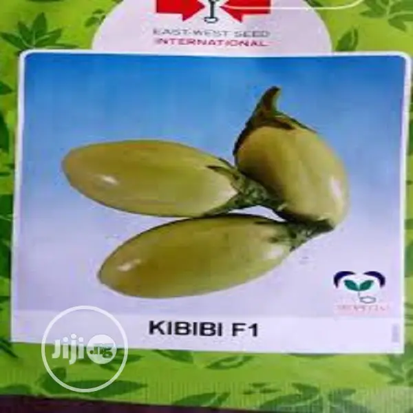 Garden Egg Seed Kibibi F1