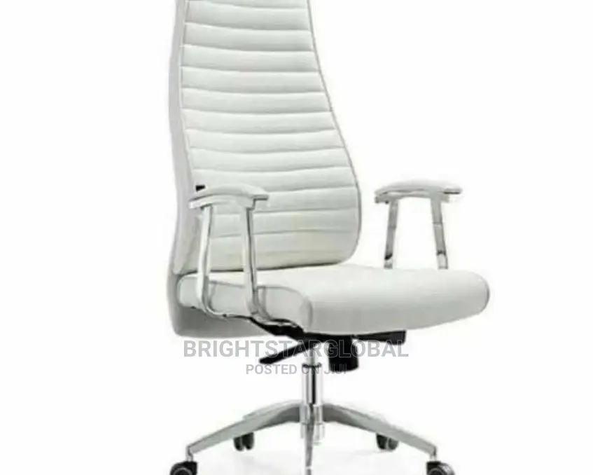 Ergonomic Office Chairs (High Quality Leather)