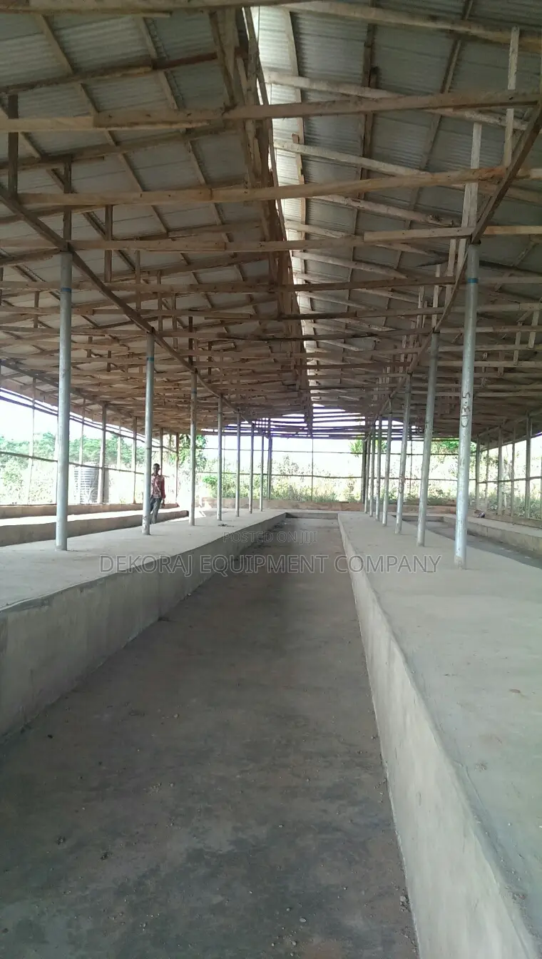 5000 Chicken Dekoraj Poultry Pen House Construction