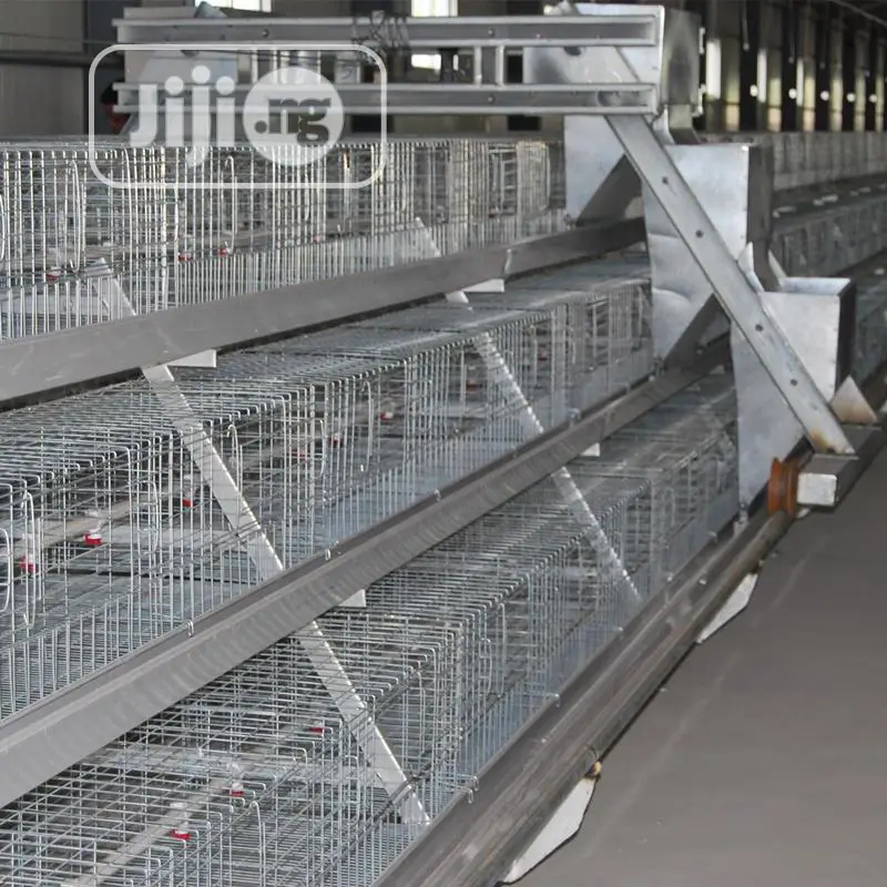 Poultry Cage China Automatic Poultry Cage