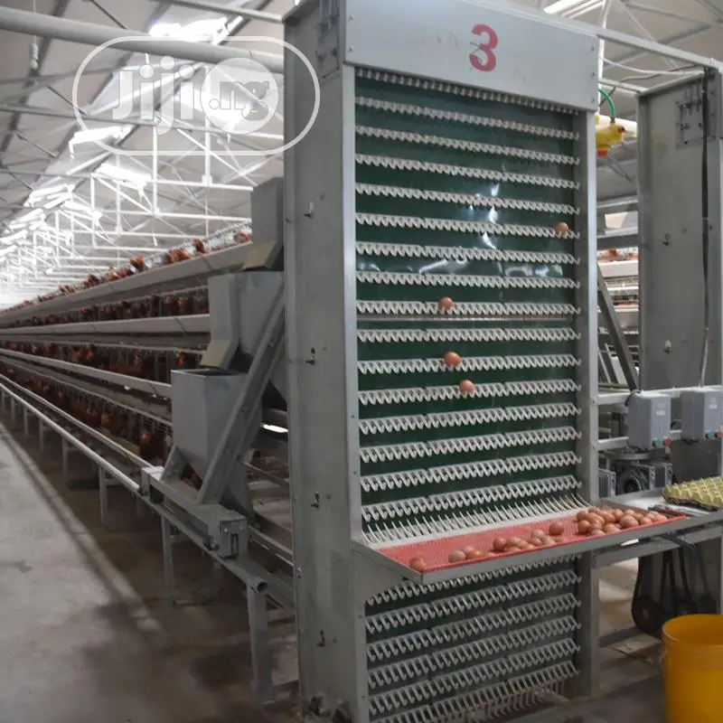 Poultry Cage China Automatic Poultry Cage