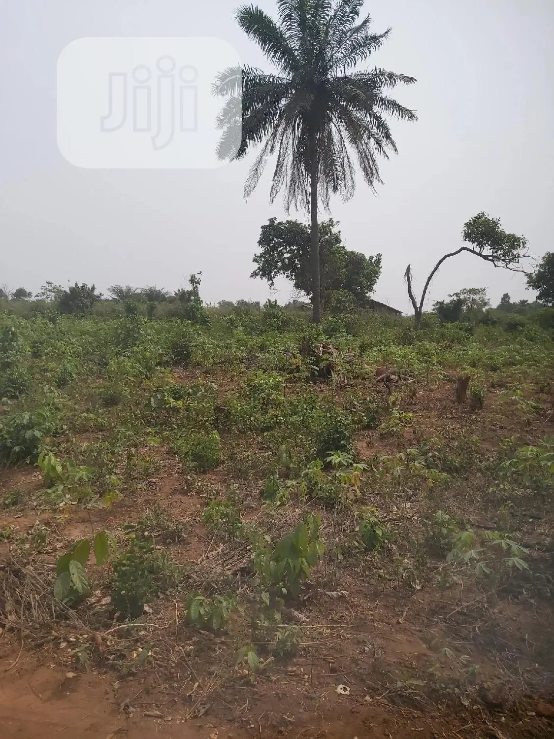 One Plot of Land at Agbowa in Ikorodu