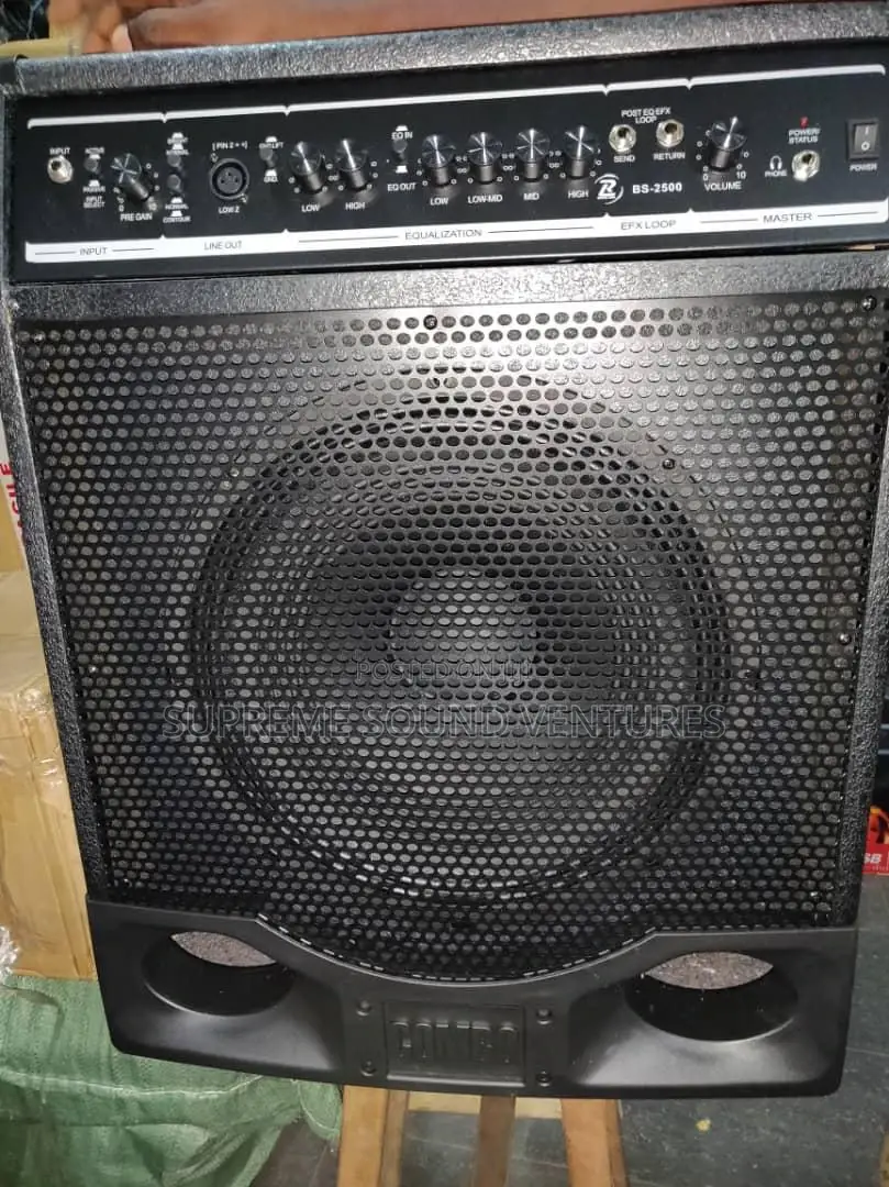 Bass Guitar Combo Speaker