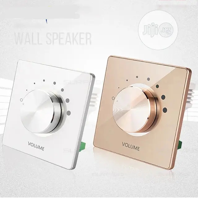 Smart Speaker Inwall Volume Control