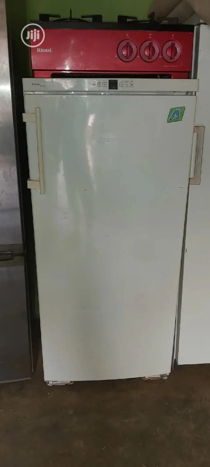 Liebherr Standing Freezer