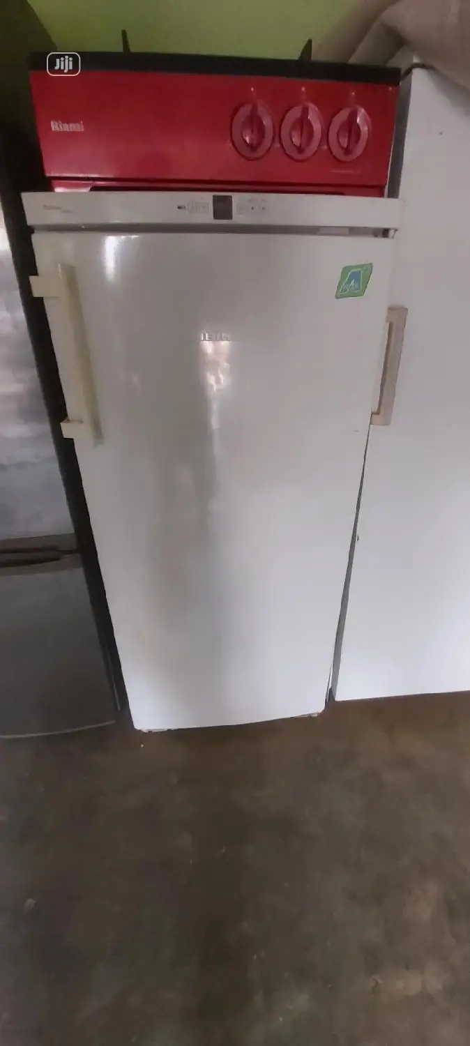 Liebherr Standing Freezer