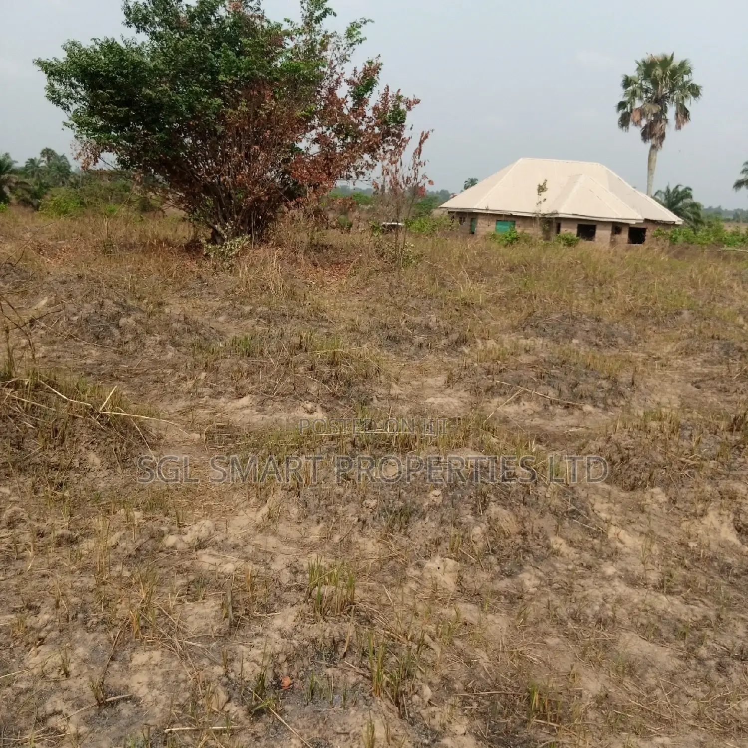 1 Plot of Land for Sale at Kamali Estate
