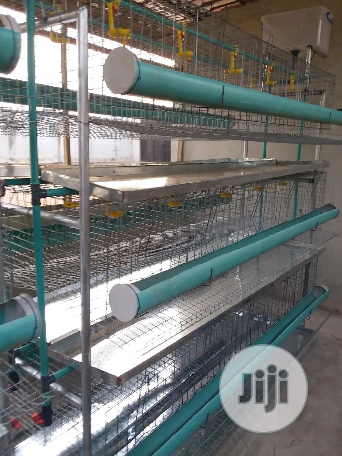 H Typebattery Cage for Layers