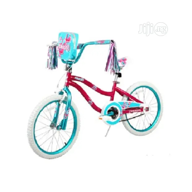 Dynacraft 20" Girls' Charmer Bike