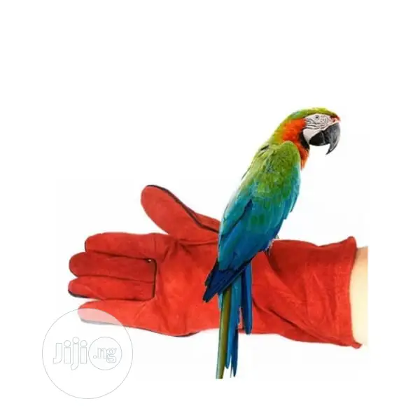 Bird Parrot Handling Gloves Pair