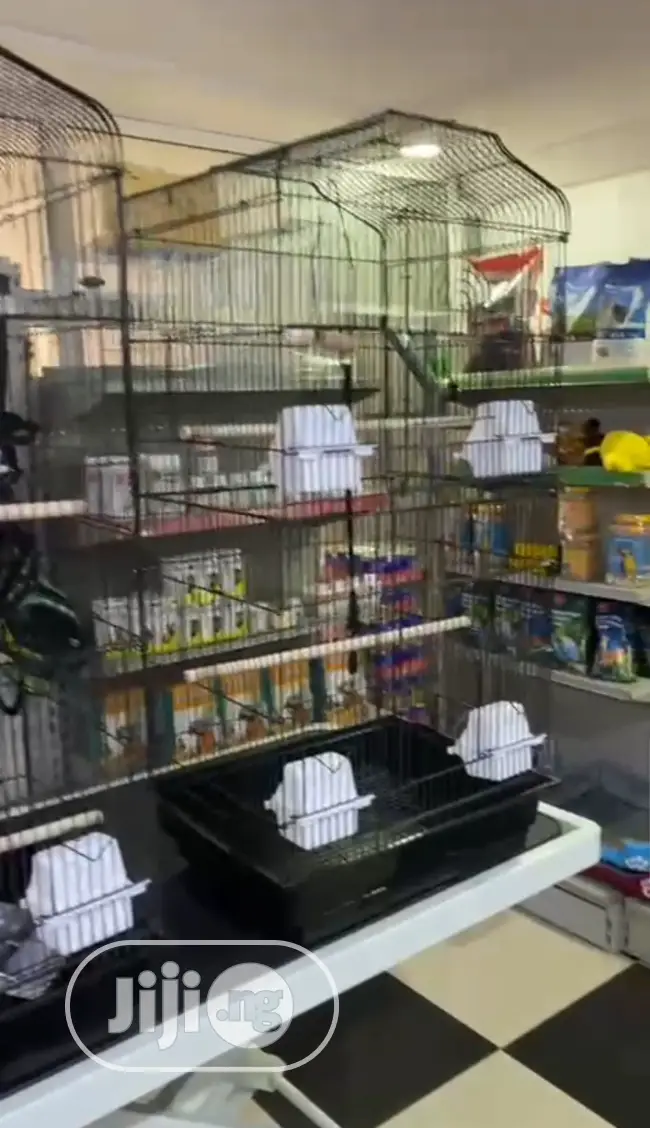 All Bird Cage Parrot