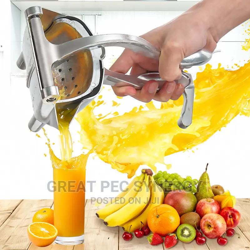 Fruit Press - Manual Fruit Press