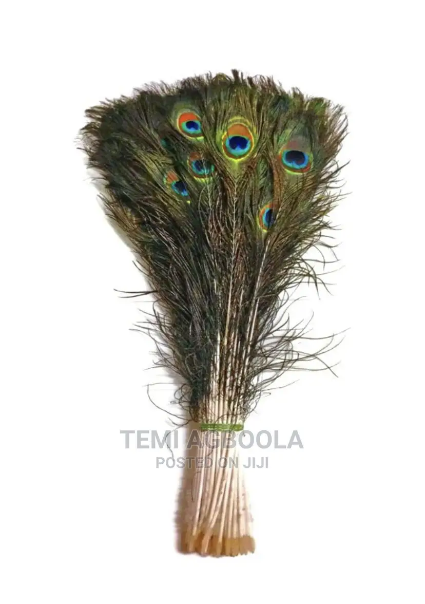 50pcs Artificial Peacock Feathers for Vase