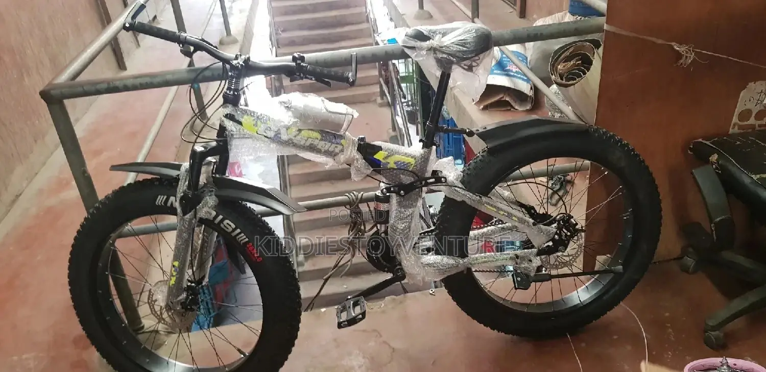 Adult Bicycles for Kids