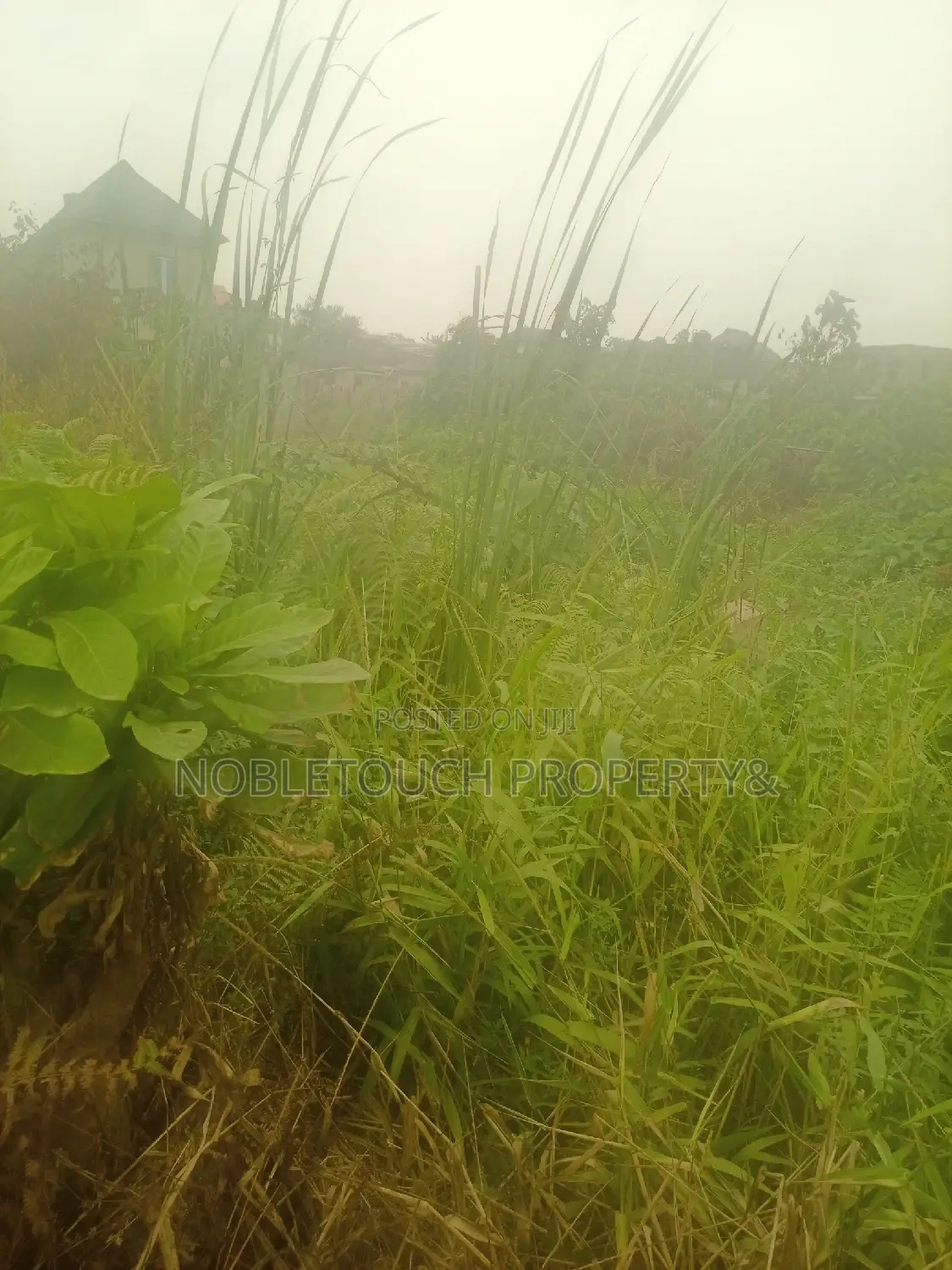 30 Acres of Land at Ketu Epe For Sale