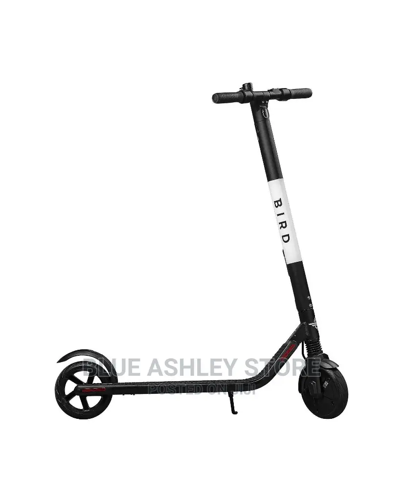Bird ES1-300 Electric Scooter Ages 13+