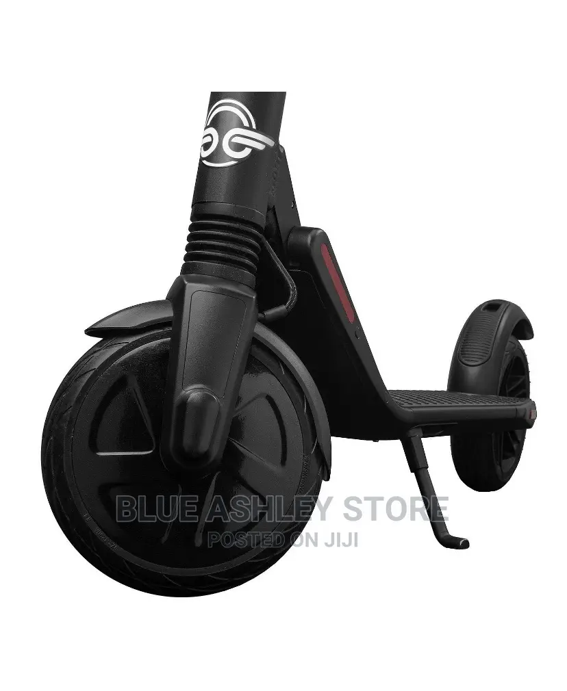 Bird ES1-300 Electric Scooter Ages 13+