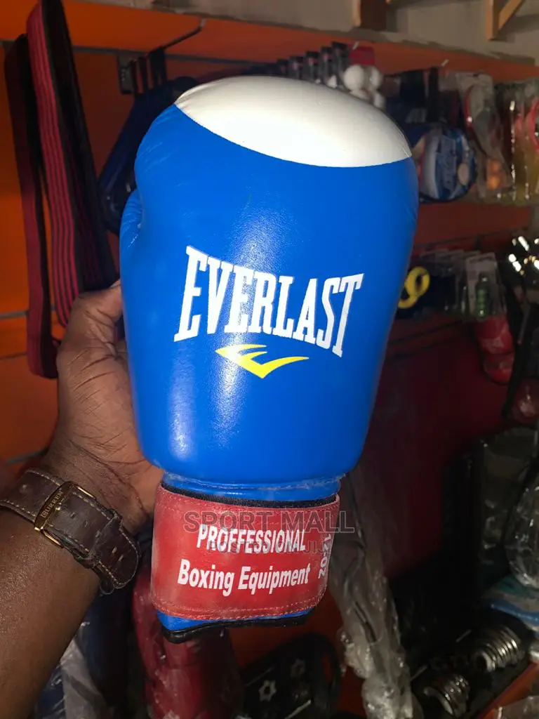 Professional Everlast Boxing Gloves