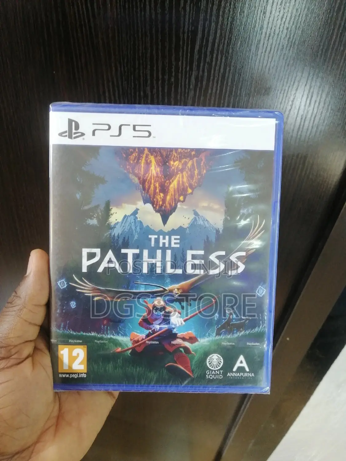 Ps5 the Pathless
