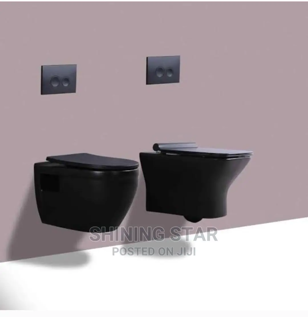 Black Conceal Wc and Tank
