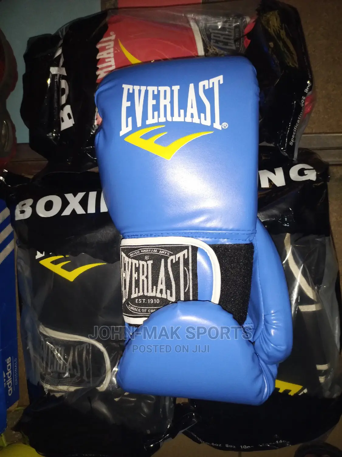 Everlast Boxing Gloves
