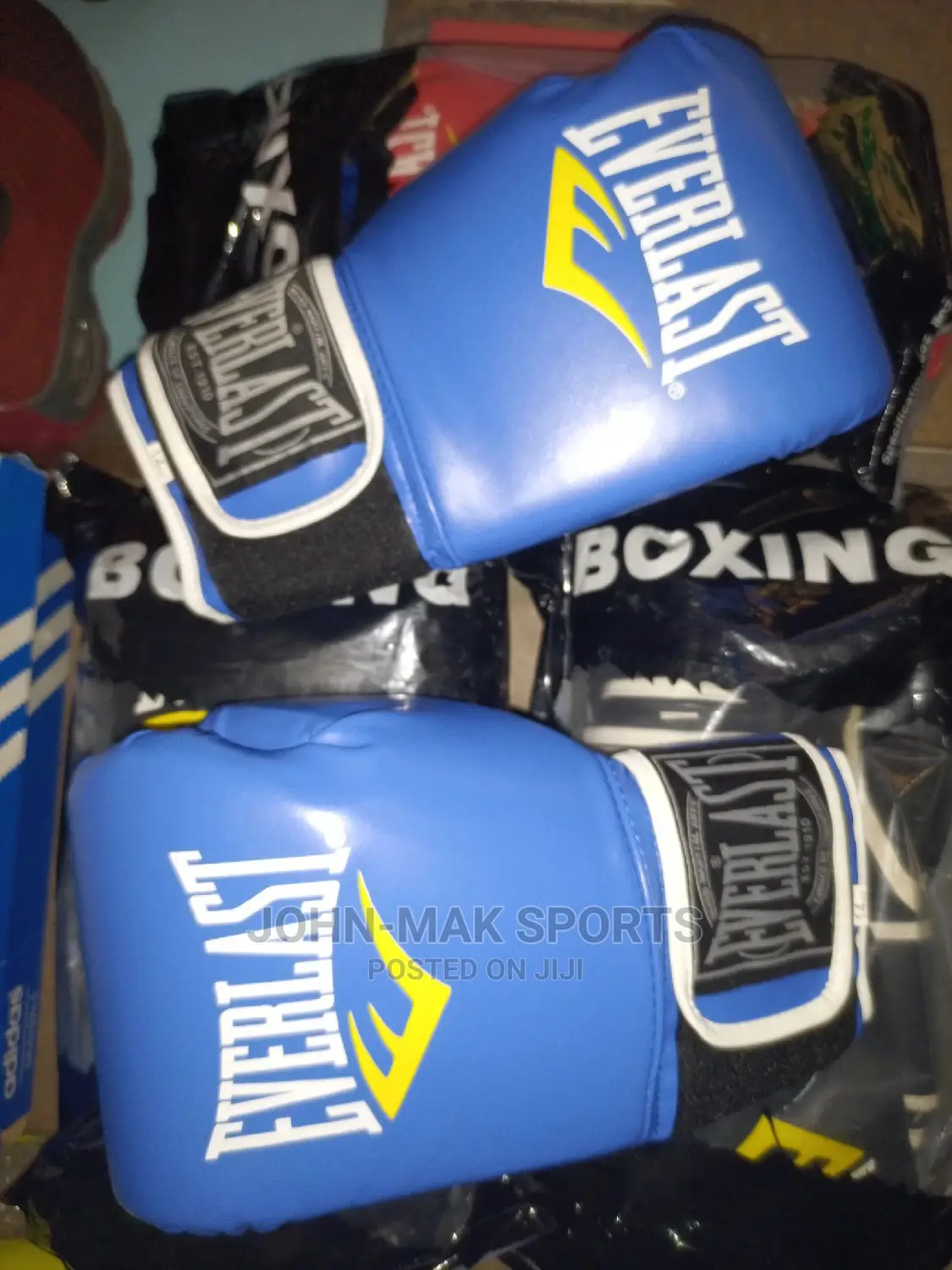 Everlast Boxing Gloves