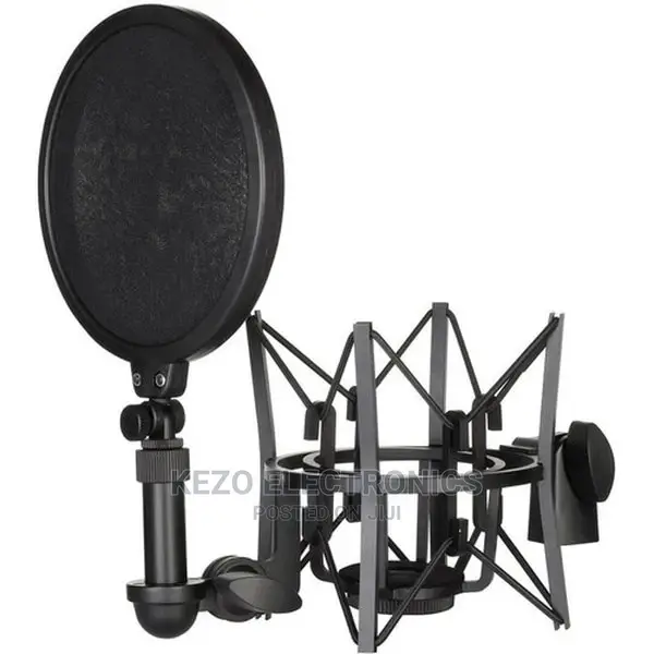 Shock Mount And Pop Filter