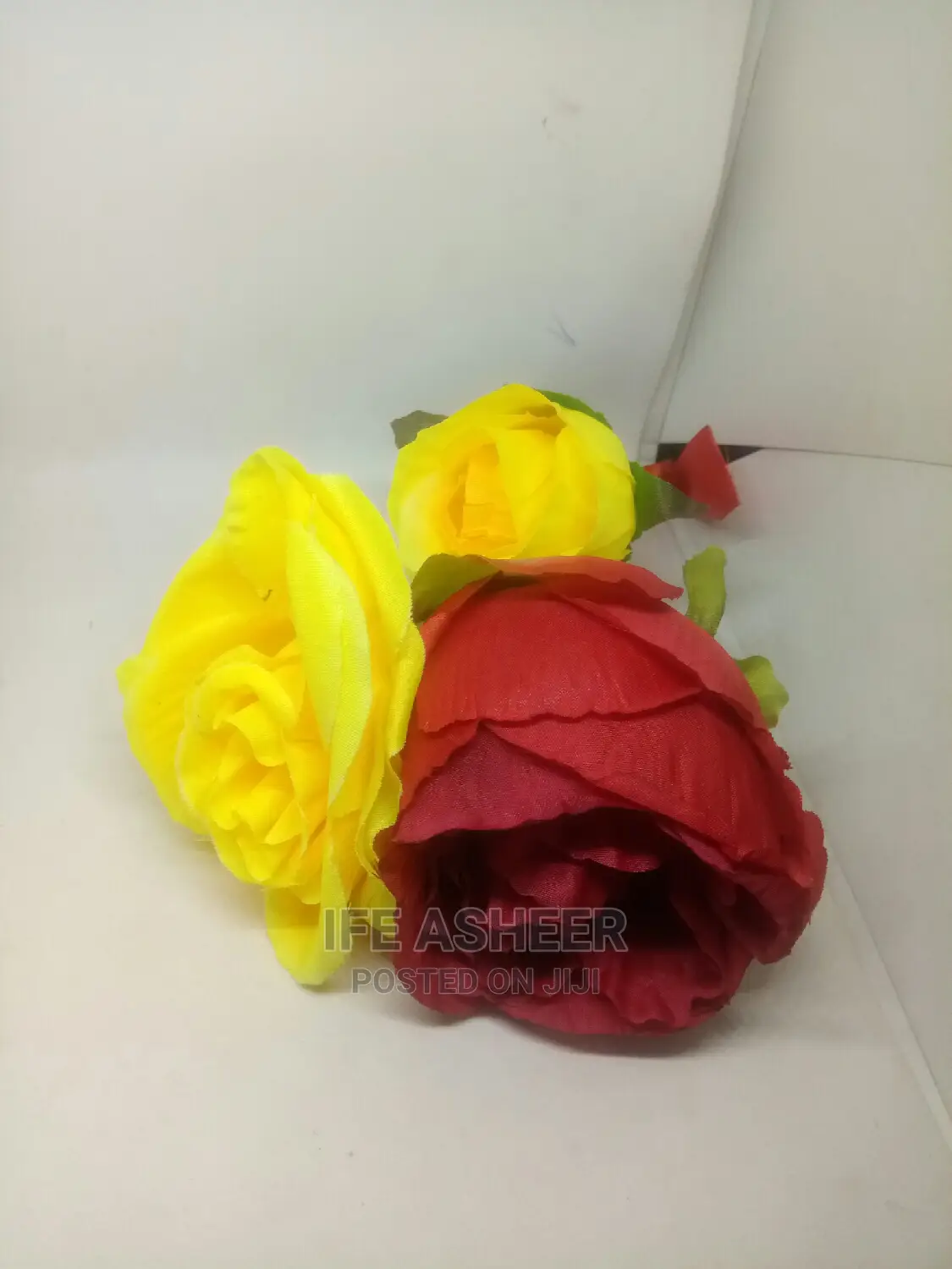 Beautiful Rose Flowers for Loved Ones 04