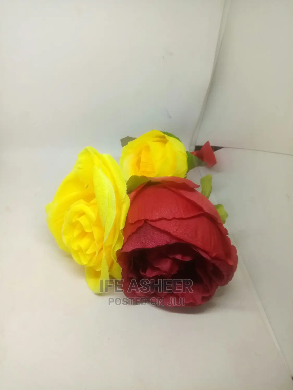 Beautiful Rose Flowers for Loved Ones 04
